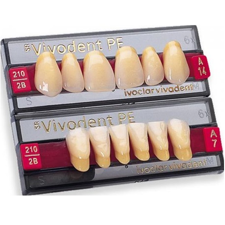 SR Vivodent PE Shade 210/2B, A2 Lower Anterior